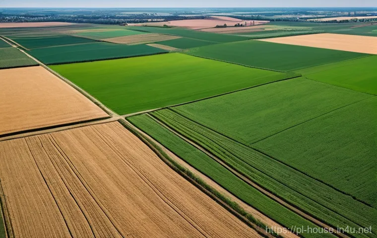 땅값 상승 지역 분석 - **Prompt 1: "Fertile Ground for Urban Expansion"**
An expansive aerial view of undeveloped green...